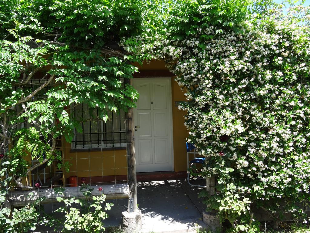 De A Dos San Rafael (Mendoza)